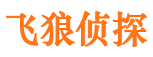 陆川飞狼私家侦探公司